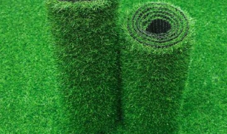 Manufacturer, Exporter, Importer, Supplier, Wholesaler, Retailer, Trader of Grass in Greater Noida, Uttar Pradesh, India.